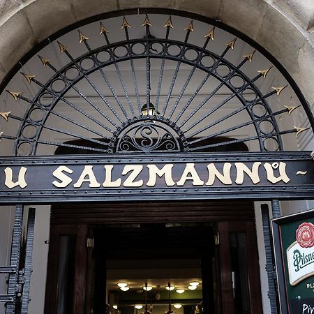 Penzion U Salzmannů Plzeň Esterno foto