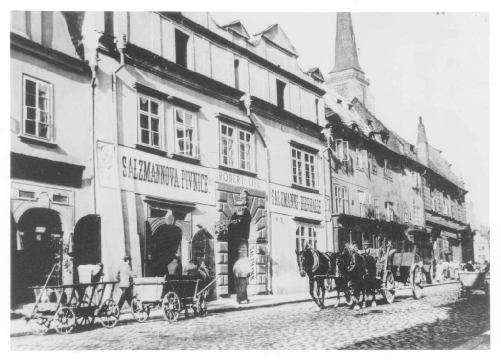 Penzion U Salzmannů Plzeň Esterno foto