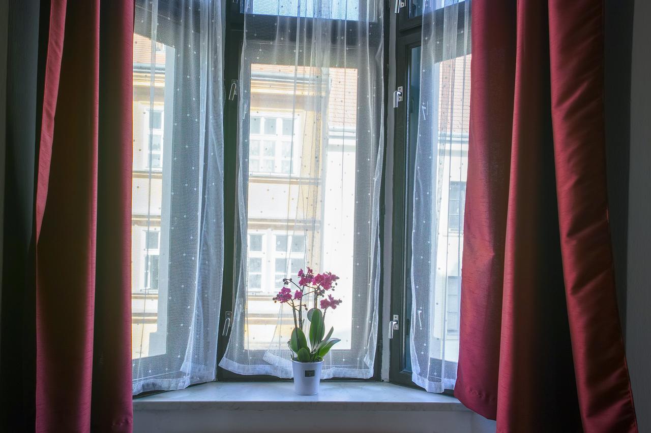 Penzion U Salzmannů Plzeň Esterno foto